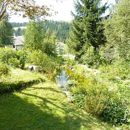 Haus Verena Отель типа 